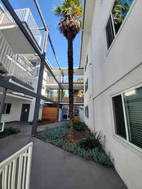 landscaped resident walkway and tropical plants